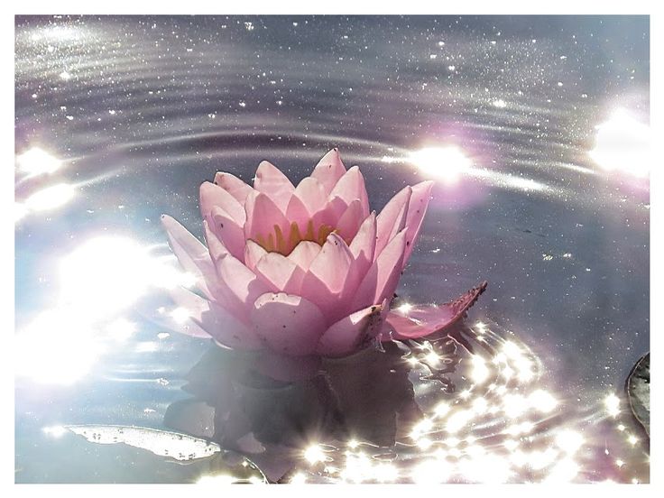 gabrielle. (fefe's gf)🦉 tweet media