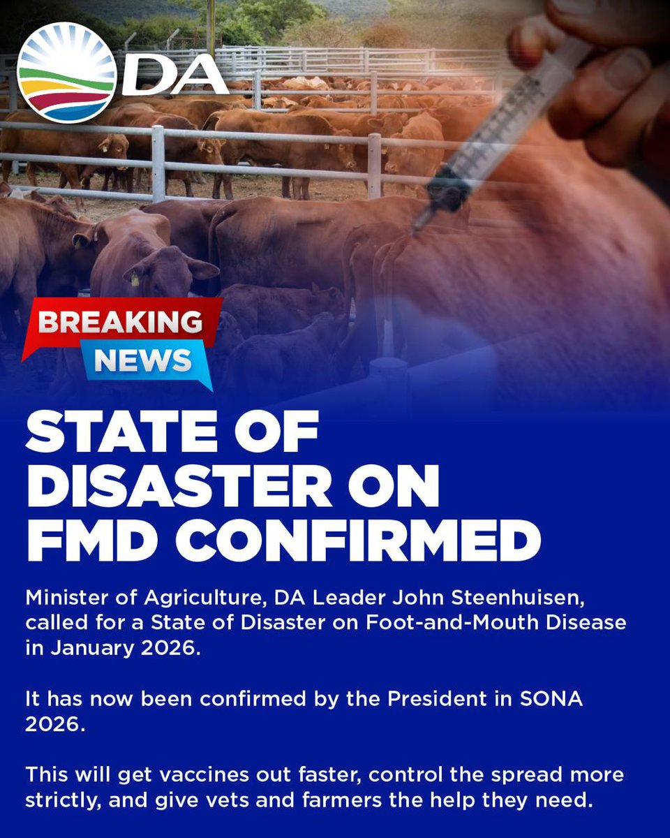 🗞️The DA welcomes the declaration of a State of Disaster to combat Foot-and-Mouth Disease. As outlined by the DA's John Steenhuisen in January, this will strengthen the work done, accelerate the rollout of vaccines, tighten security, unlock more resources, and protect livestock.