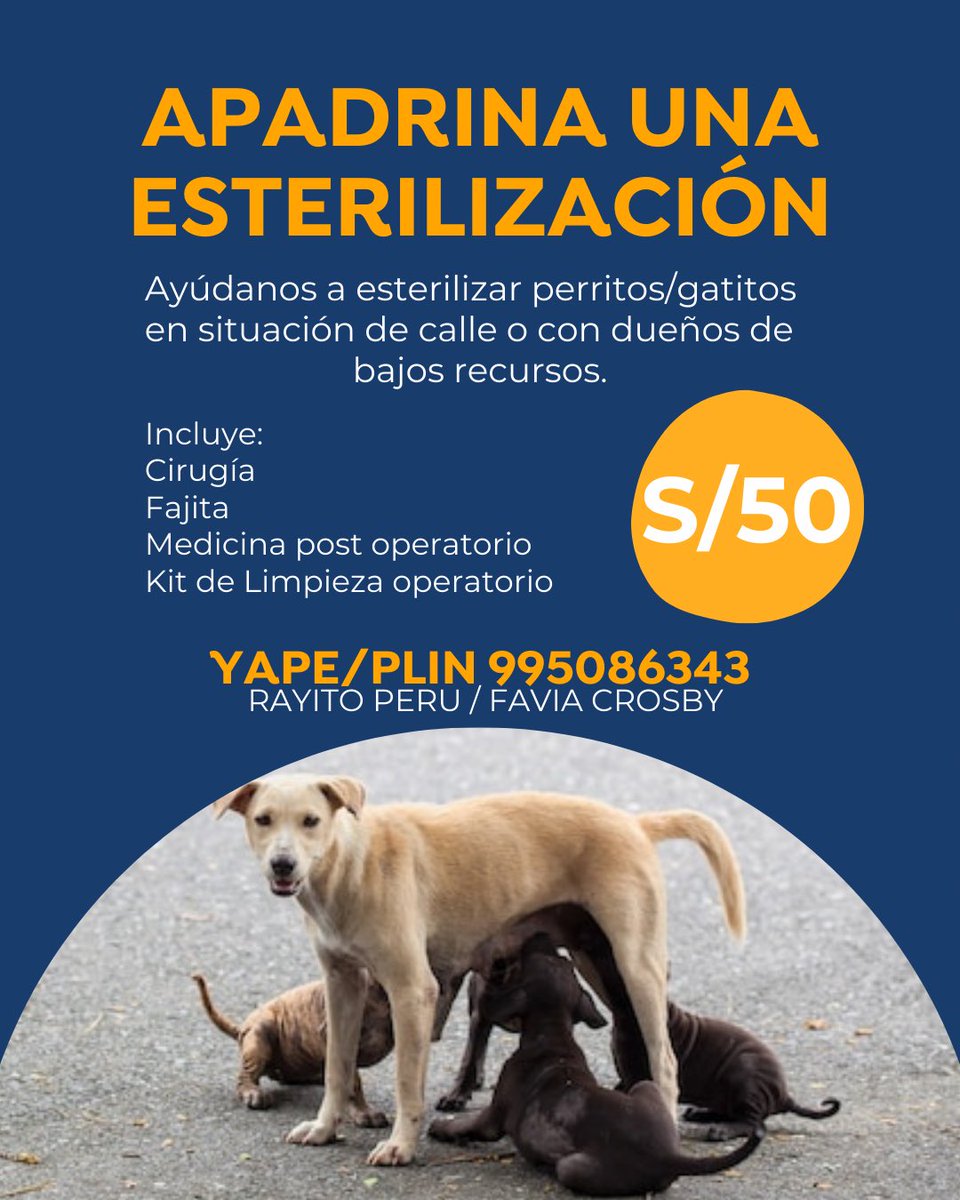 FundacionRayit0's tweet photo. ¿NOS AYUDAS DONANDO 1 ESTERILIZACIÓN?

Nos falta S/854 (17 PERRITOS/GATITOS)  

Yape/plin 995086343 https://t.co/Vm8F2MoXMq