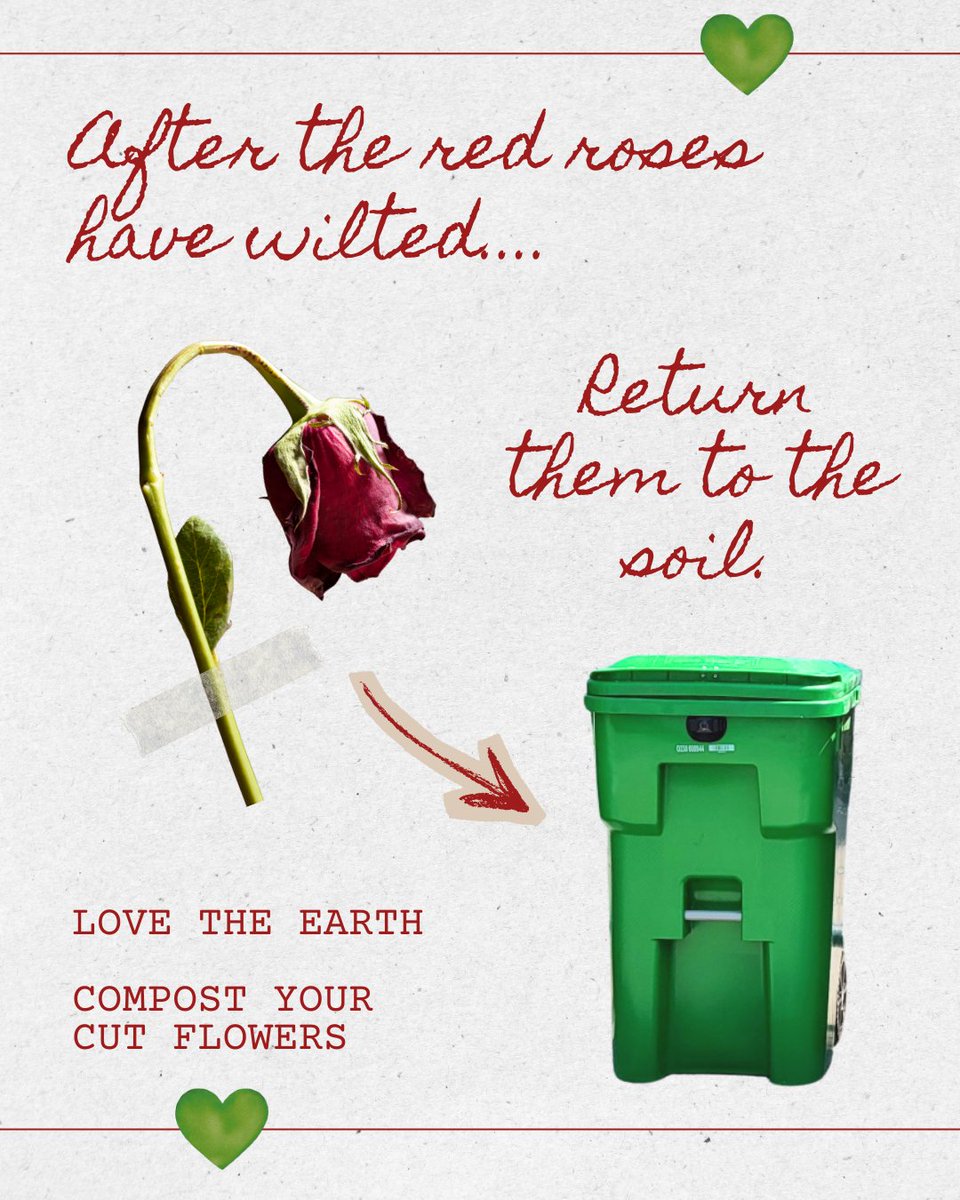 Give that bouquet new life after Valentine's Day is over. Visit Chicagorecycles.org.