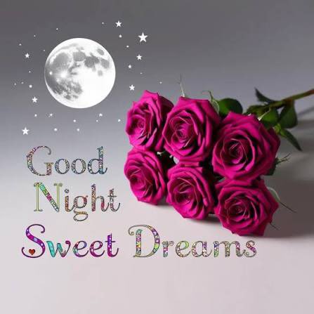 Good night familia 💕
Enjoy your night rest 😉