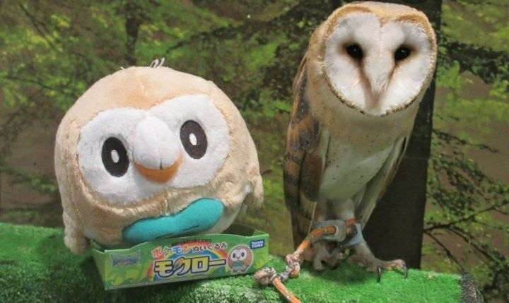 Out of Context Pokémon (@oocpokemon) on Twitter photo 