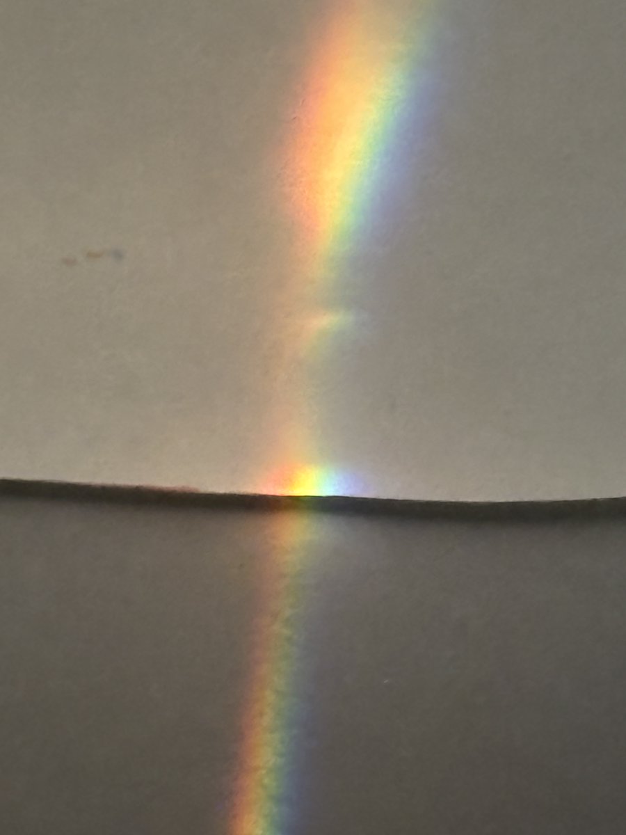 Todd Hollis tweet media