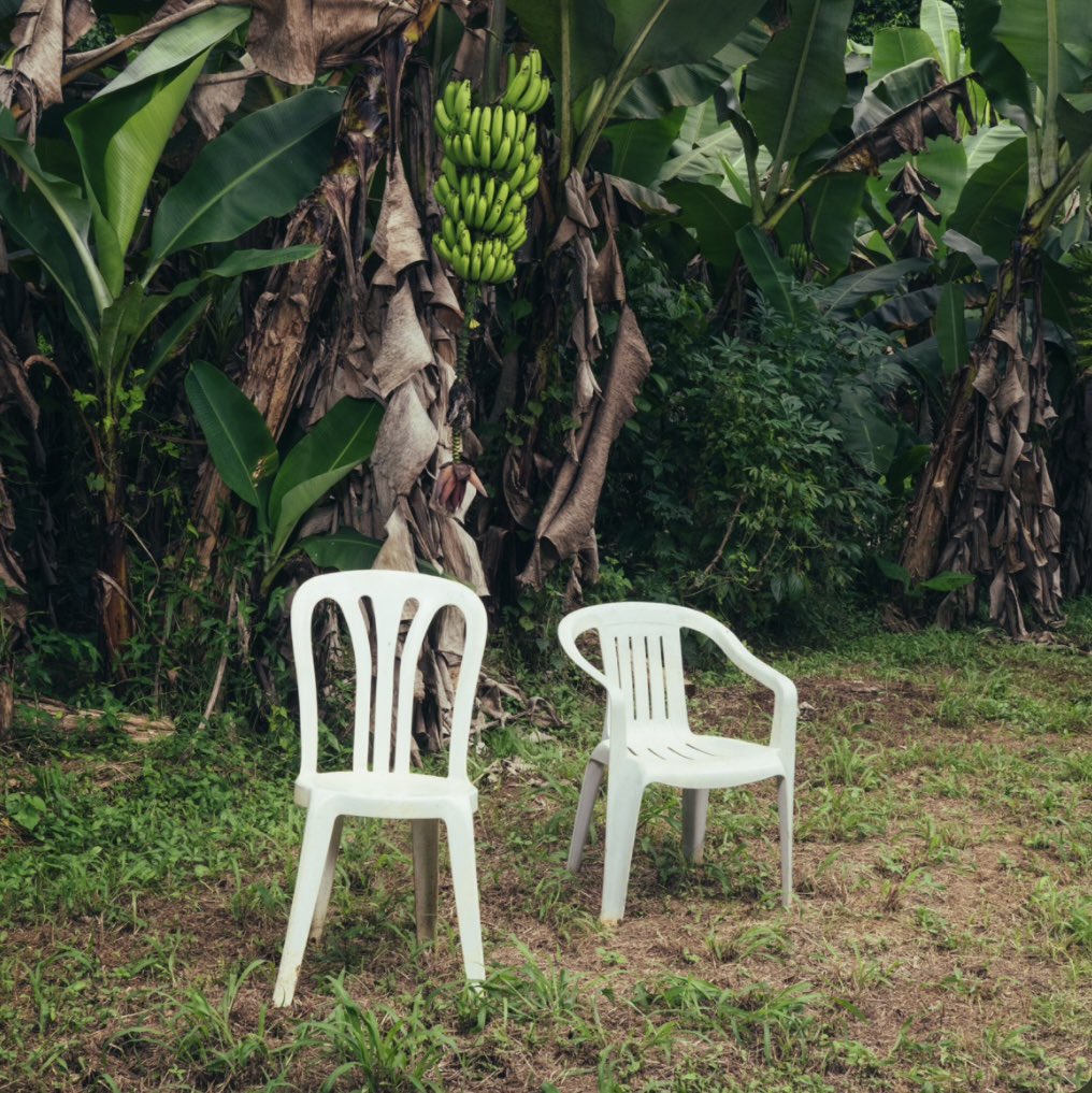 flmslost's tweet image. generational for me personally