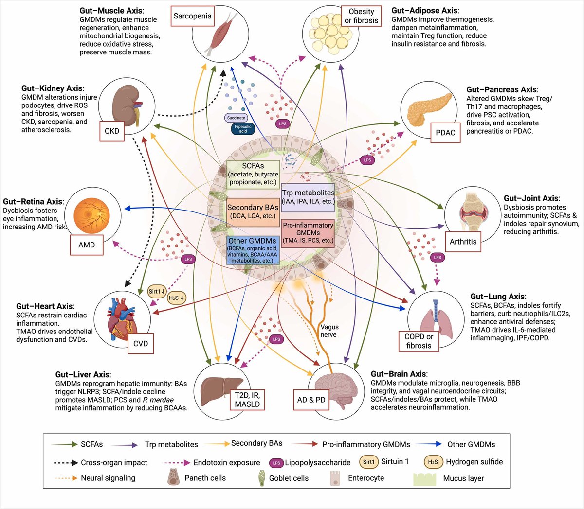 🔬 RicardoMontes tweet media
