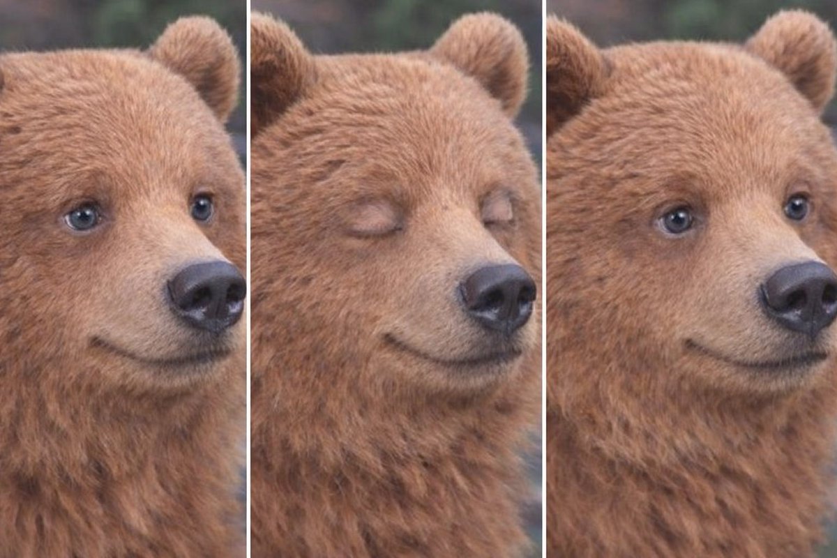 golden42069's tweet image. the other bears watching this happen.