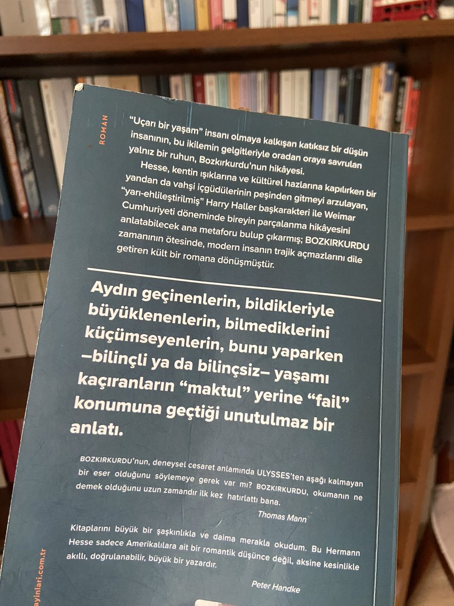 Roman; modern insanın iç çatışmalarını ve yalnızlığını derin bir psikolojik çözümlemeyle ele alıyor. Harry Haller’in toplumla uyumsuzluğu ve kendi içindeki “insan” ile “bozkırkurdu” arasında sıkışmışlığı;okuru kimlik, yabancılaşma ve varoluş üzerine düşünmeye itiyor, gerçeklik