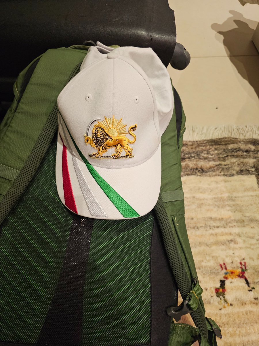 سفرم طولانیم به مونیخ رو امروز شروع کردم،  و بیصبرانه منتظر دیدار هزاران هم میهن  عزیزم هستم.  فقط یه نکته به ذهنم رسید برای دوستانی  که در #فراخوان_مونیخ شرکت میکنید، حتما حتما از قبل به لحاظ ذهنی خودتون رو آماده کنید ودر ذهنتون تجسم کنید که عده اندکی از #سه_فاسد  به دستور