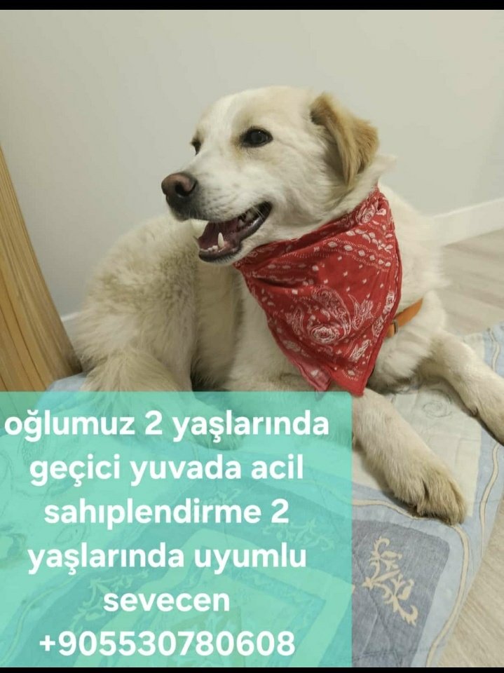 aydoğdurky🦋🦋🦋 tweet media