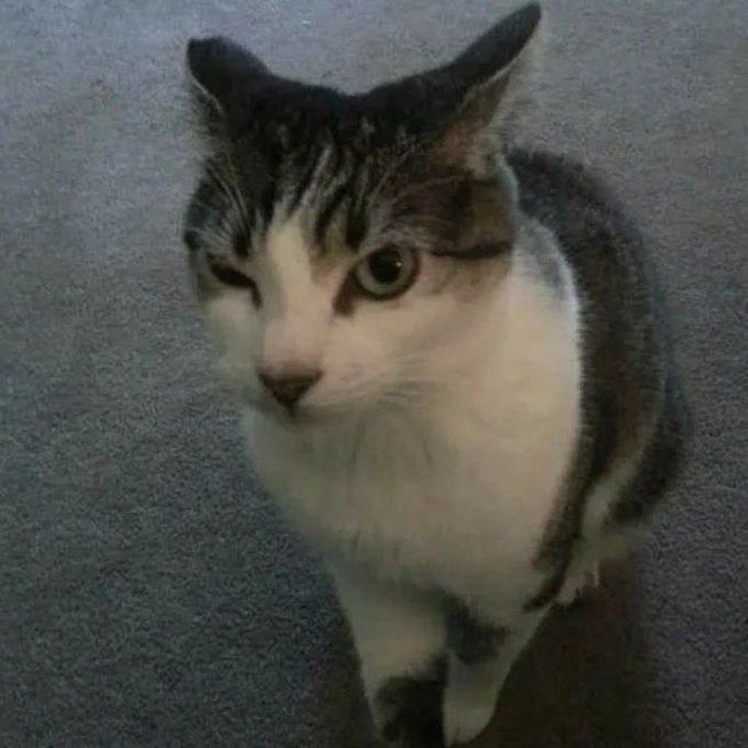 J'ai pas mes portes

twitch.tv/goffioyes