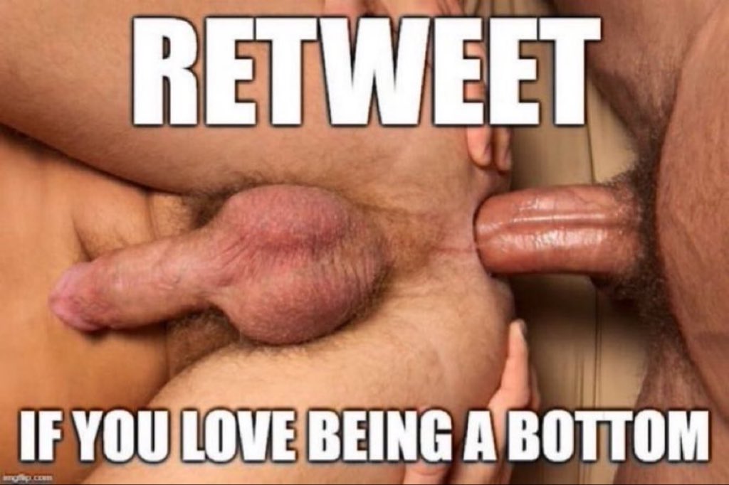 NastyBoyBiz tweet media