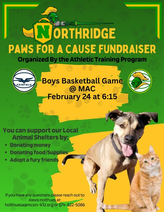 New Level Media tweet media