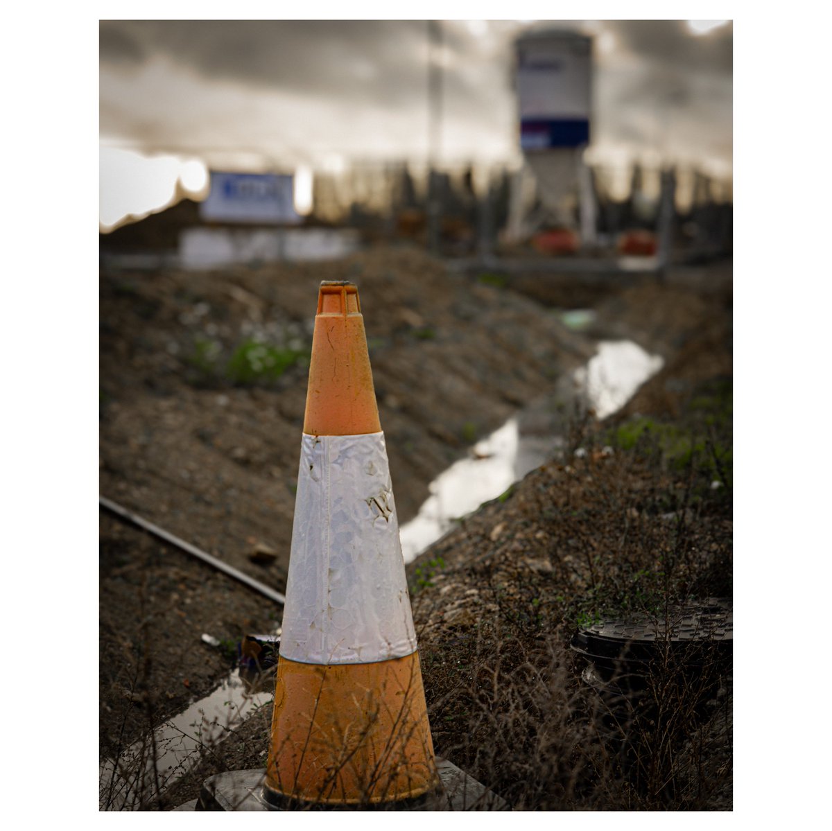 Solivagant tweet media