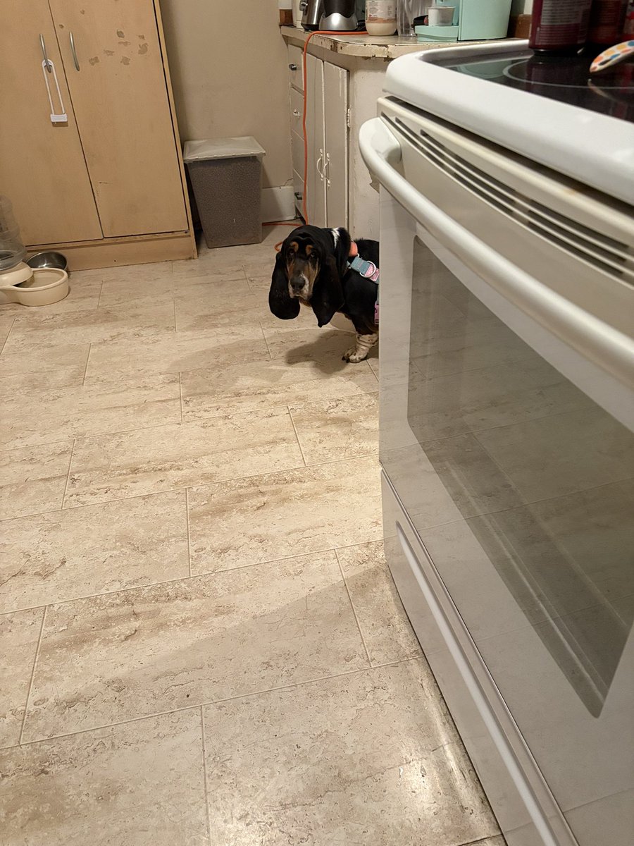 It’s Poppy’s 5th birthday. Time flies!