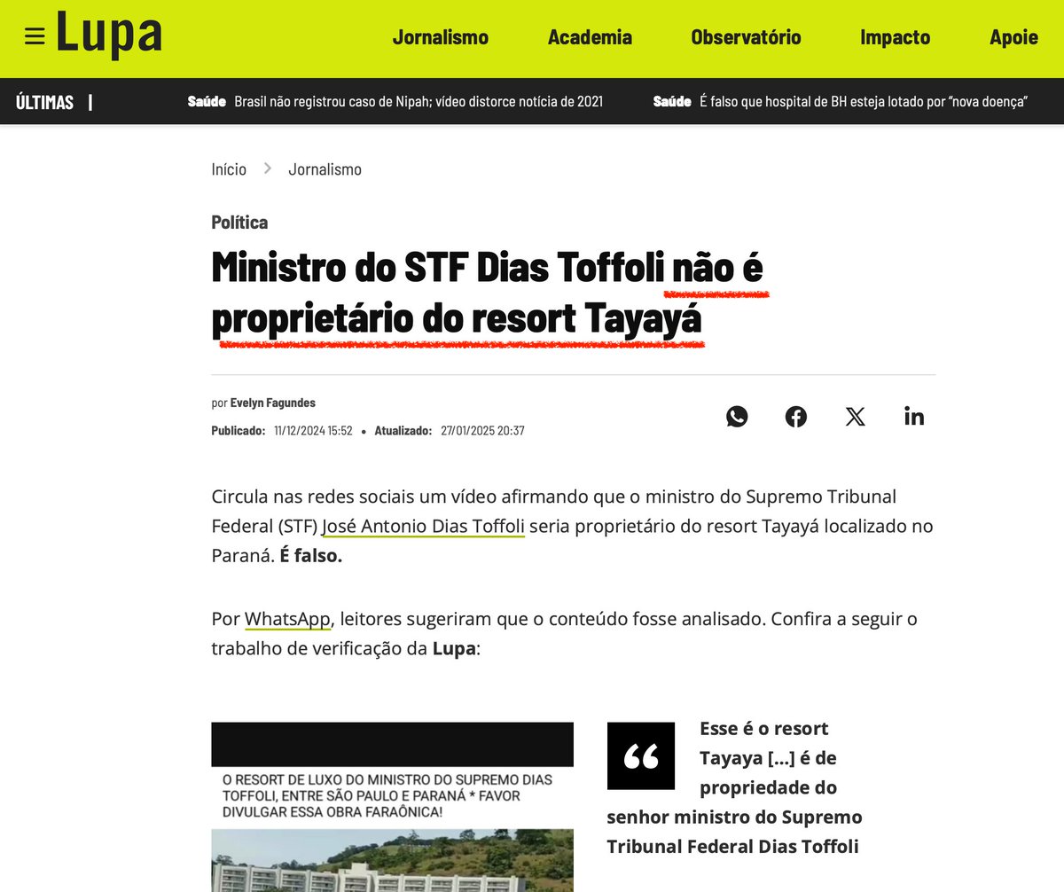 Frankito, o Curioso® tweet media