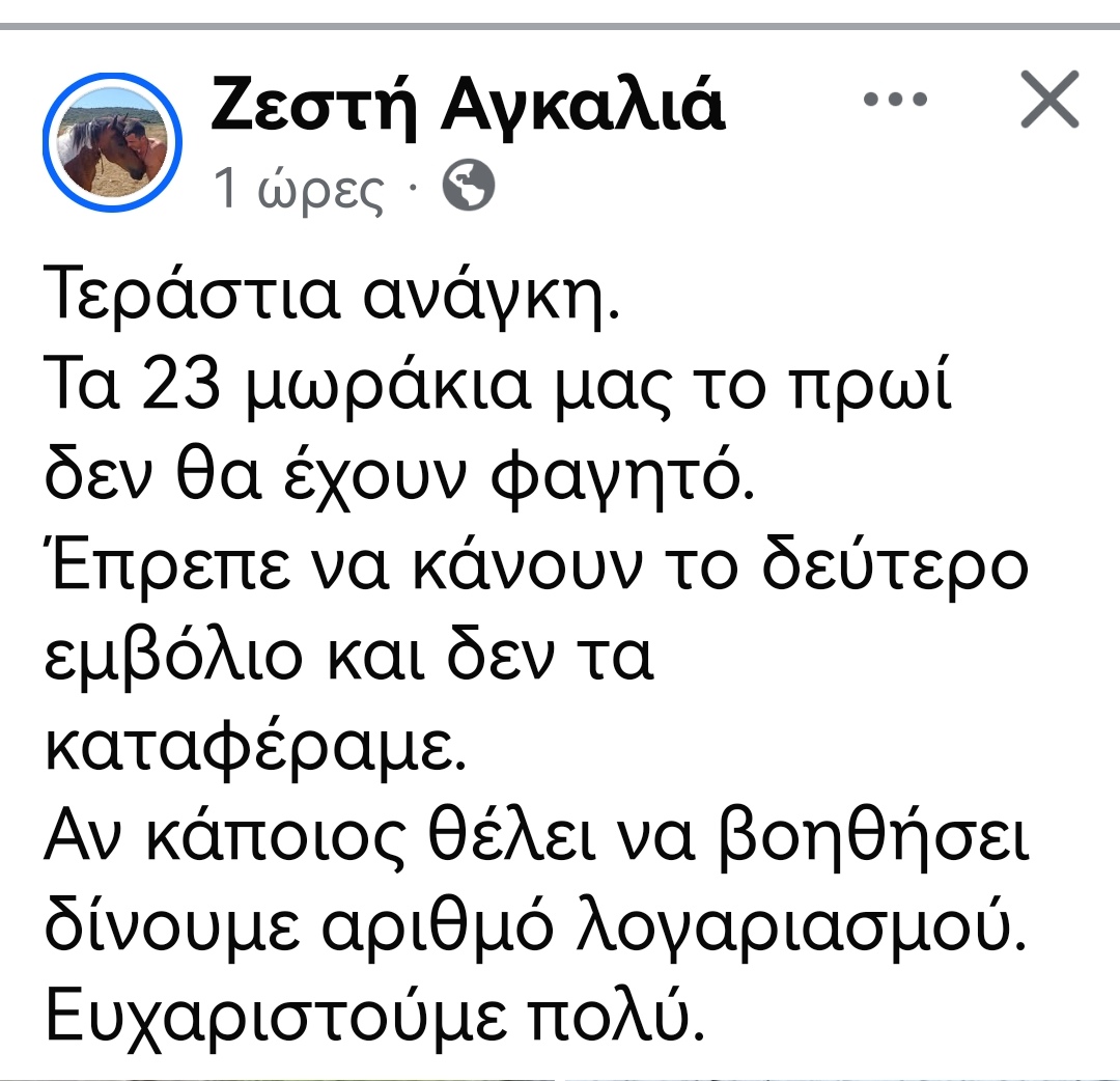 Christinalirou2's tweet photo. ‼️🆘‼️🆘‼️🆘‼️🆘‼️Η Ζεστή Αγκαλιά κάνει έκκληση για βοήθεια. Τροφές για κουτάβια κ για εμβόλια. Μάζεψε 23 κουταβάκια που τα πέταξαν στο πουθενά για να πεθάνουν. Κοινοποιούμε παιδιά μήπως βοηθήσουμε τους εθελοντές να τα κρατήσουν ζωντανά ώσπου να βρεθούν οικογένειες. https://t.co/n7KccQhknd