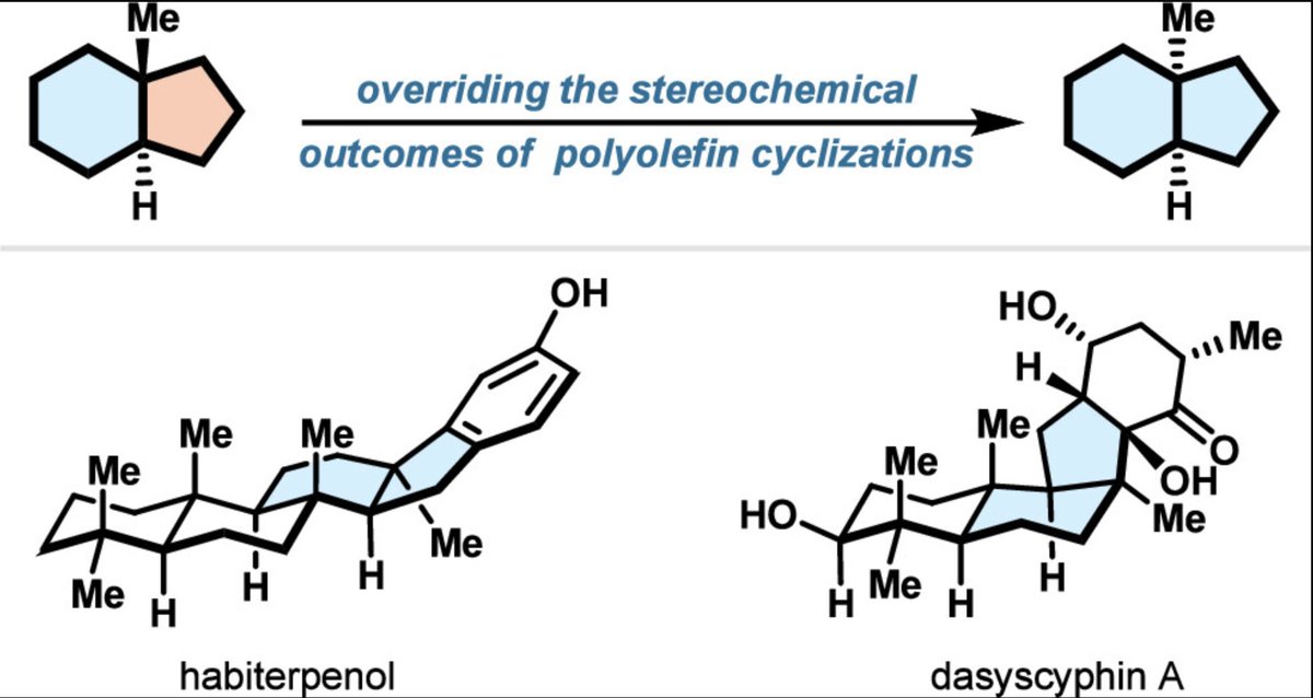 Total Synthesis tweet media