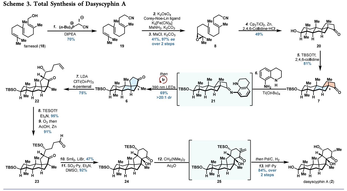 Total Synthesis tweet media