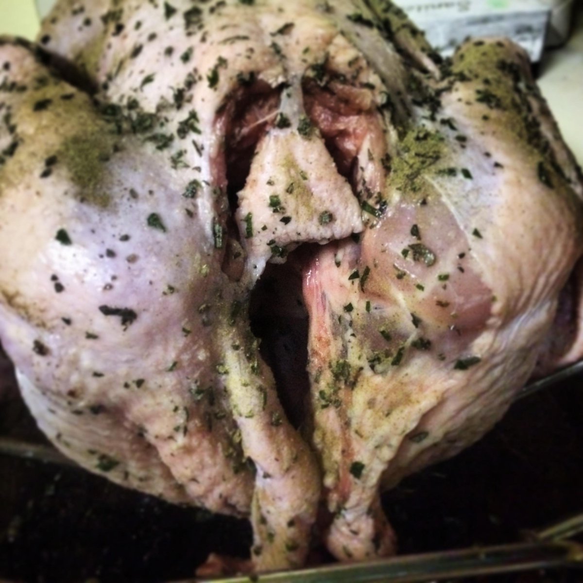 folhas99.eth tweet media