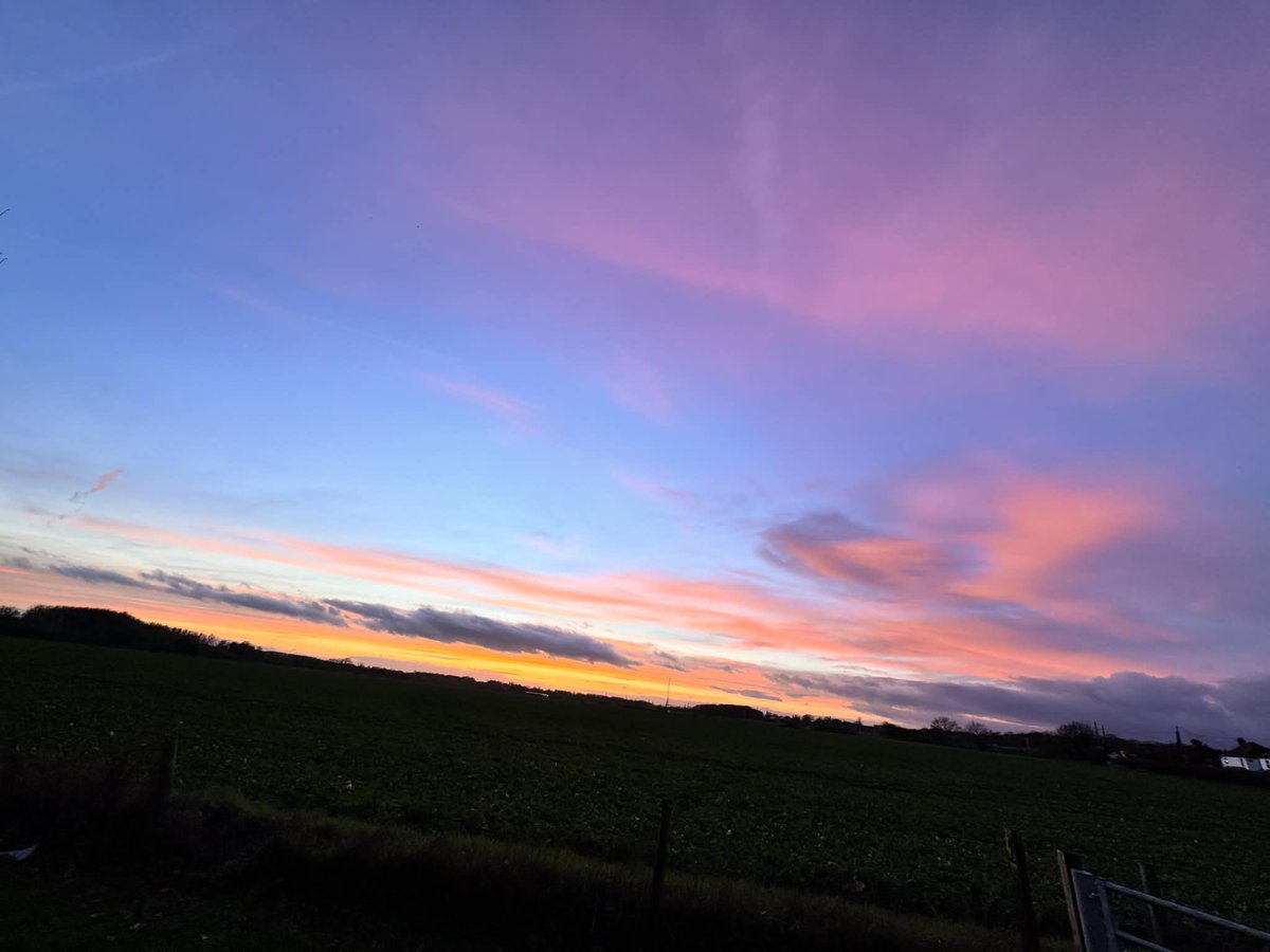 ✨Sarah ✨ tweet media