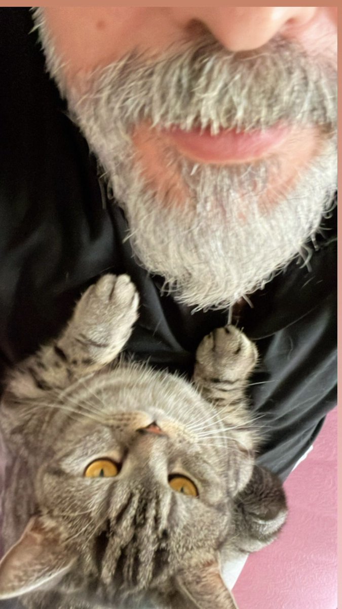 hakan5439885798's tweet image. Hayatta bazı şeyler ters durur ama doğru hissettirir. 🐾🖤  #çona