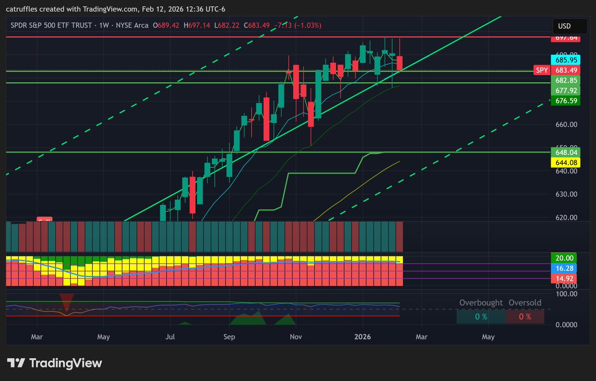 Catruffles (🐈⬛+🍄) tweet media