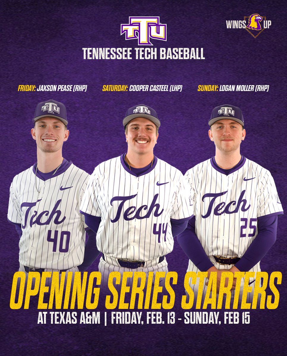 Tennessee Tech ⚾️⚾️ tweet media