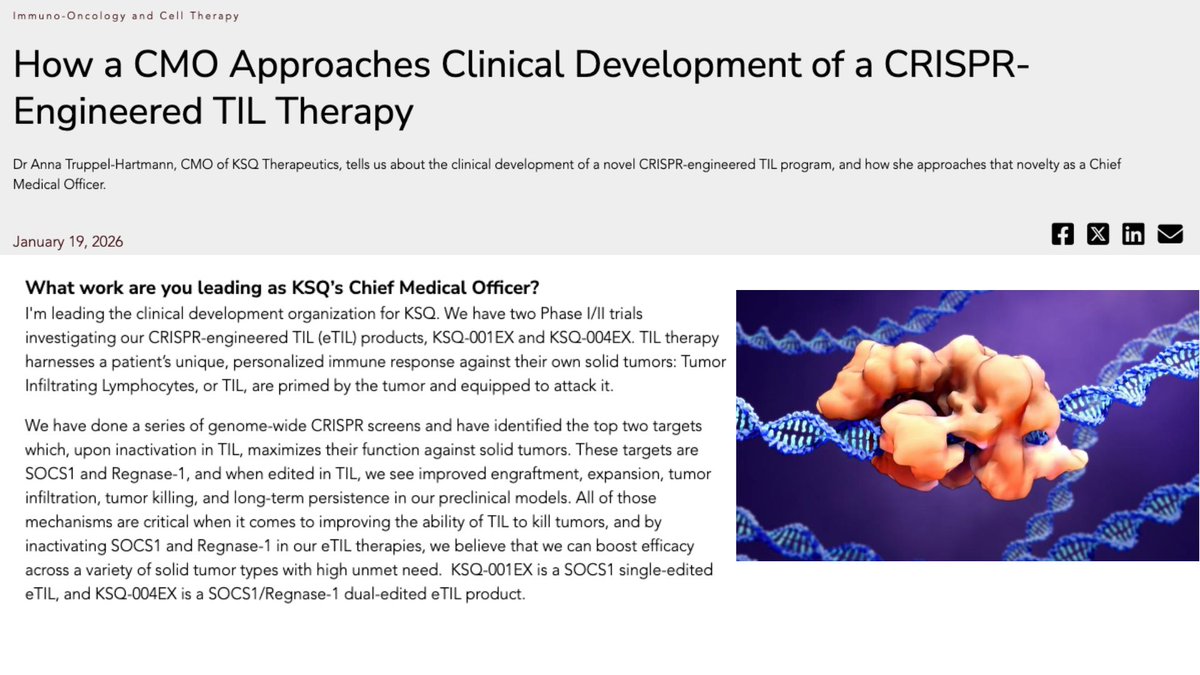 KSQ Therapeutics Inc tweet media