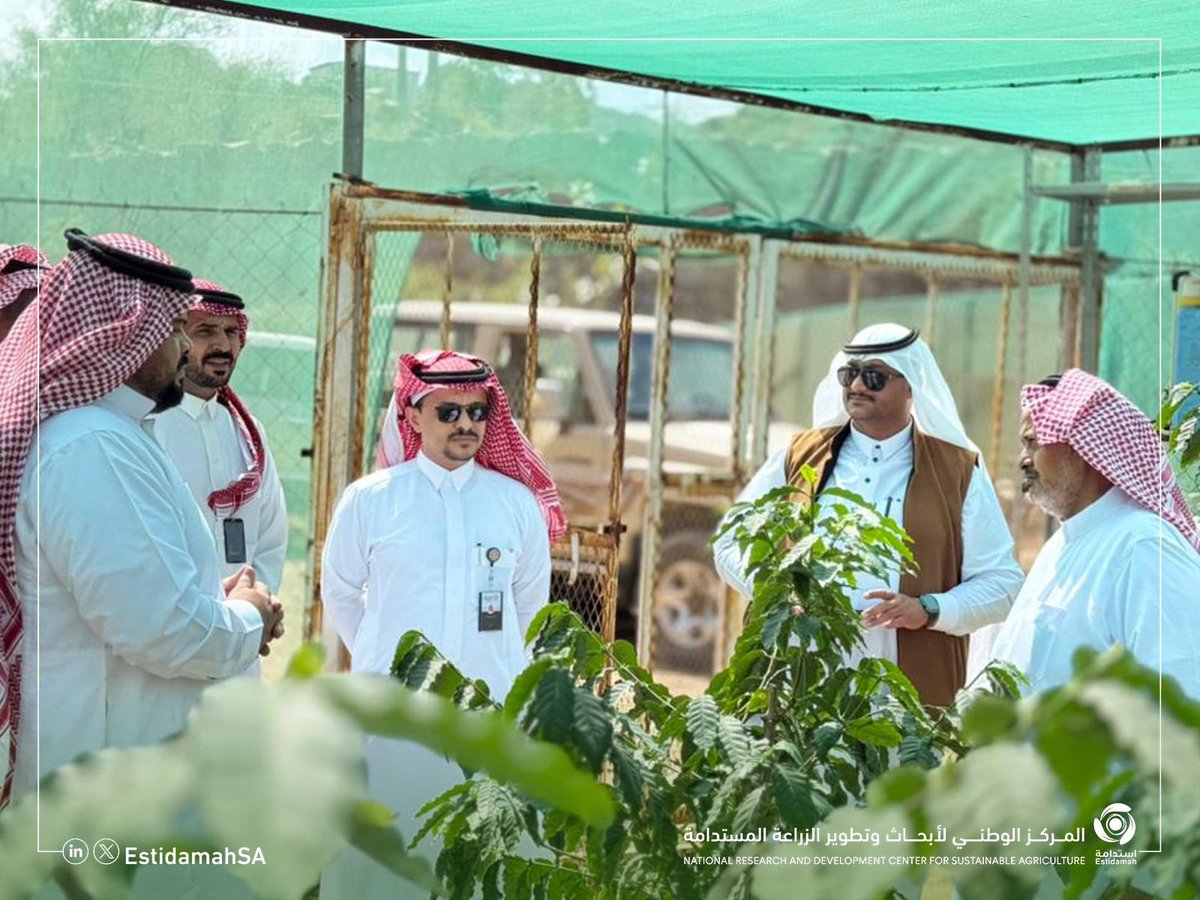 يطلق #مركز_استدامة بالشراكة مع الجمعية التعاونية للبن بجازان تجارب بحثية تطبيقية في مرتفعات #جازان تشمل 5 حقول بن؛ لتطوير الممارسات الزراعية ورفع جودة وإنتاجية البن الجازاني كإحدى ركائز البن السعودي.