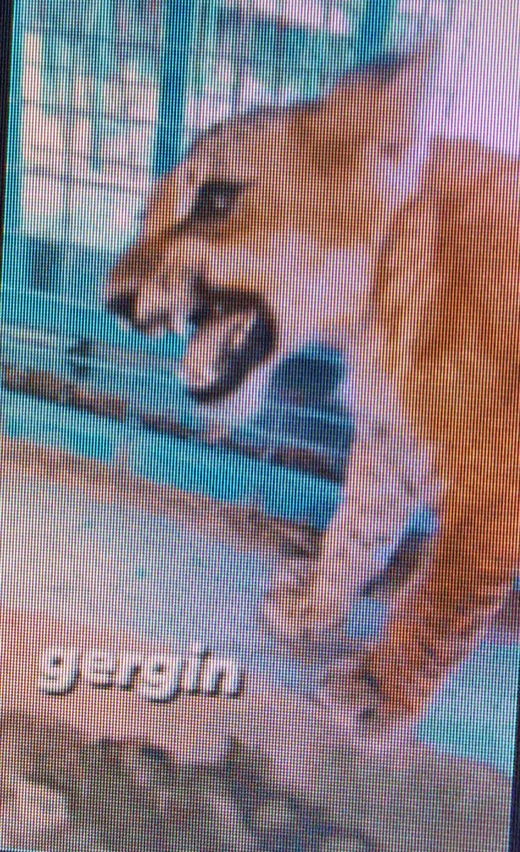 northshield tweet media