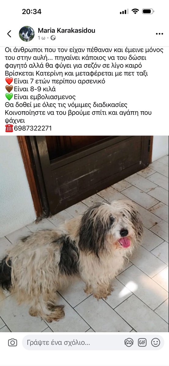 Rika Passa tweet media
