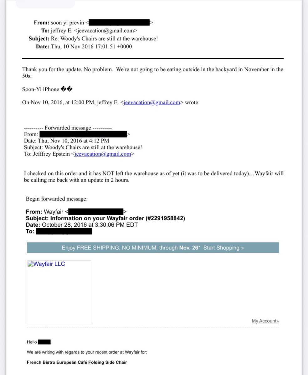 Here is an email from Jeffrey Epstein sending Woody Allen chairs from Wayfair as a gift 

Typically Billionaires don't gift each other cheap furniture 

Wayfair is listed 389 times and there are many orders placed directly by Jeferry himself 

Apparently he loved cheap furniture