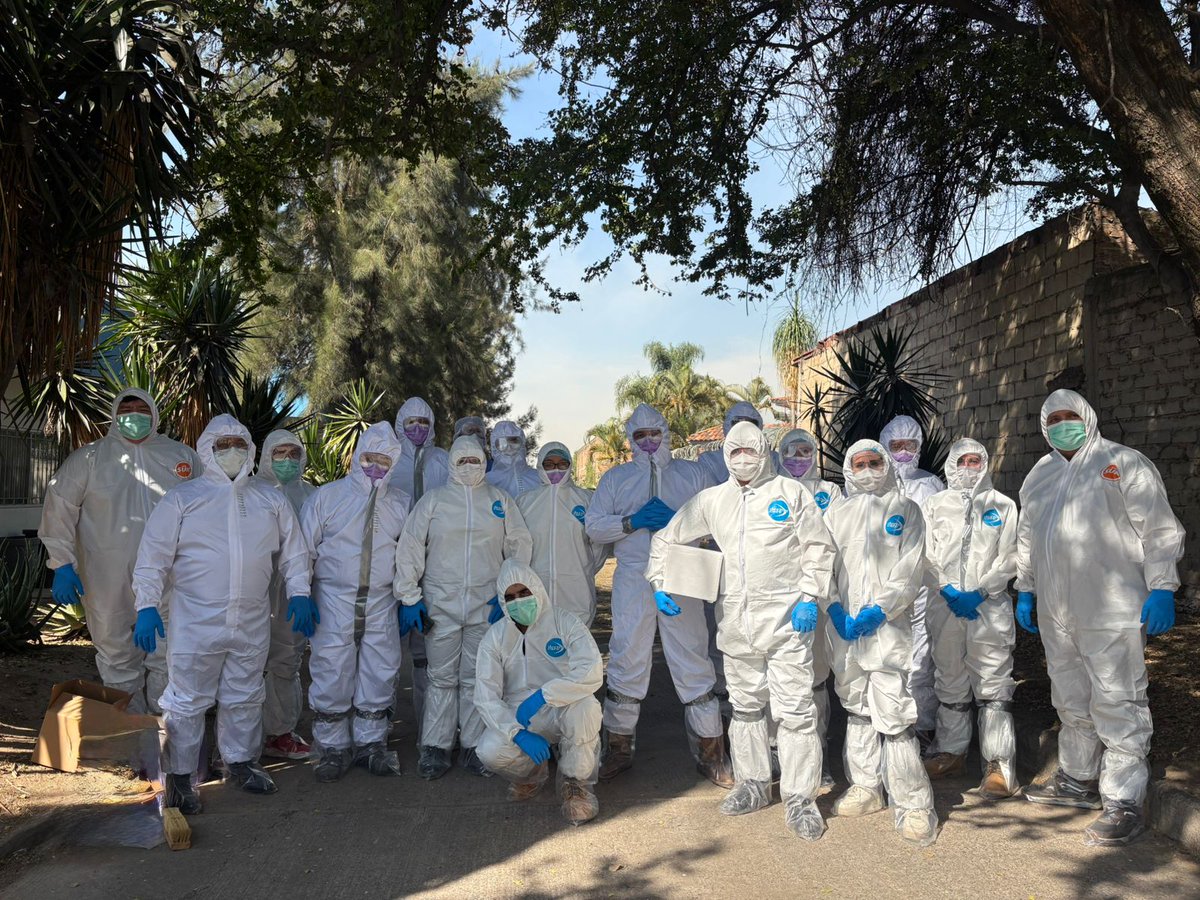 iica_canada's tweet photo. 🔬 PROCINORTE strengthened regional coordination on African Swine Fever and Classical Swine Fever on January 15 in Trinidad and Tobago and January 27–28 in Guadalajara, Mexico.

Policy alignment in the Caribbean and field-based technical exercises in Mexico reinforced regional preparedness and cross-border response capacity.

#PROCINORTE

──────────────────────────────

🔬 PROCINORTE a renforcé la coordination régionale face à la peste porcine africaine et à la peste porcine classique le 15 janvier à Trinité-et-Tobago et les 27–28 janvier à Guadalajara, au Mexique.

L’harmonisation des approches et les exercices techniques ont consolidé la préparation régionale.

#PROCINORTE

──────────────────────────────

🔬 PROCINORTE fortaleció la coordinación regional frente a la Peste Porcina Africana y la Peste Porcina Clásica el 15 de enero en Trinidad y Tobago y el 27–28 de enero en Guadalajara, México.

La articulación en el Caribe y los ejercicios técnicos en México reforzaron la preparación y la capacidad de respuesta regional.

#PROCINORTE