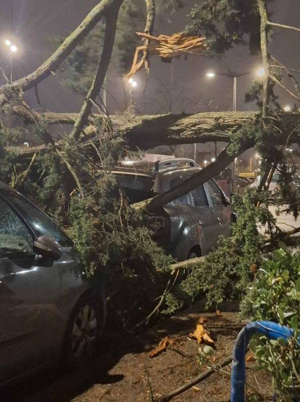 StormWatchFR☈ tweet media