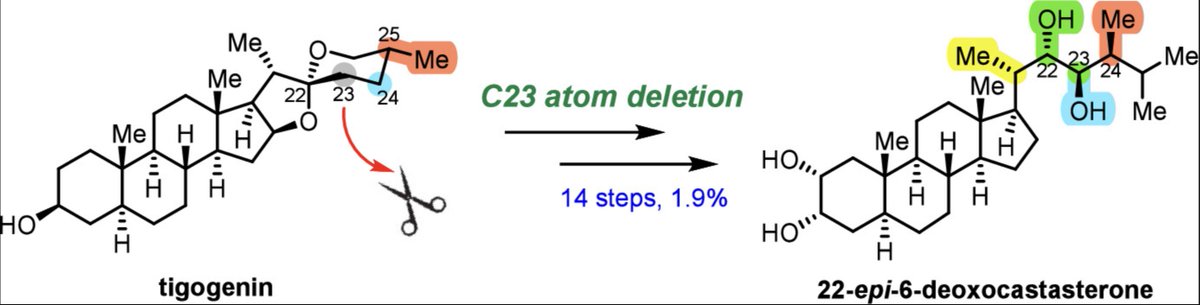 Total Synthesis tweet media