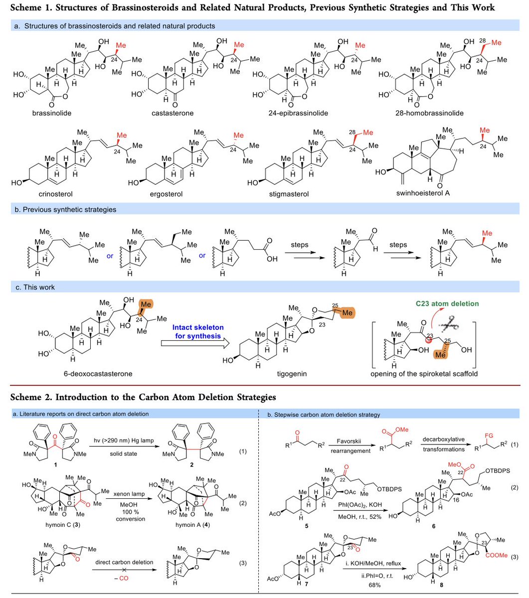 Total Synthesis tweet media
