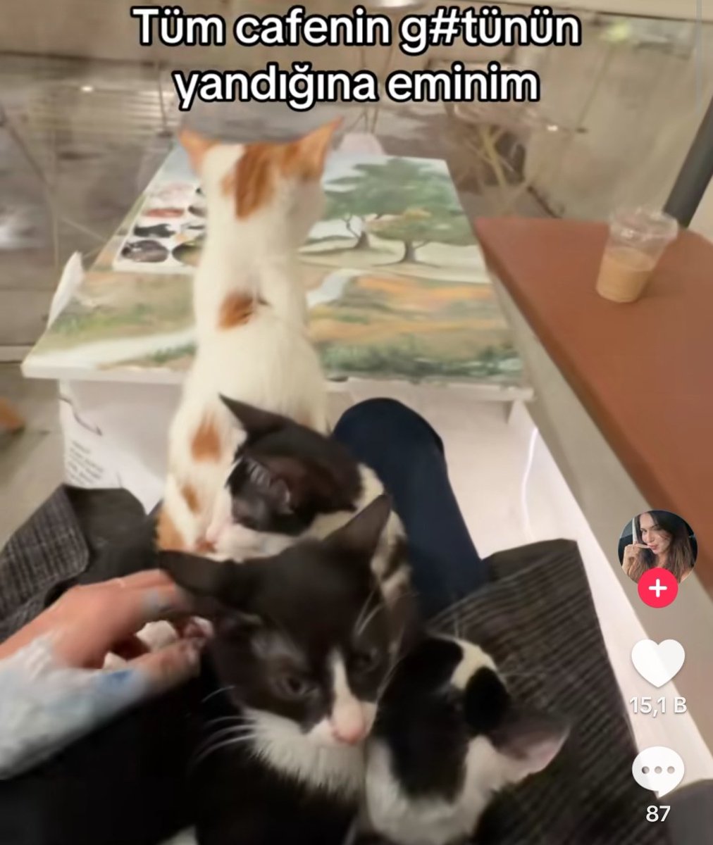 kafelerde çift görmek çok umrumuzda olmuyor da şöyle bir şey görsek cayır cayır yanardık aq