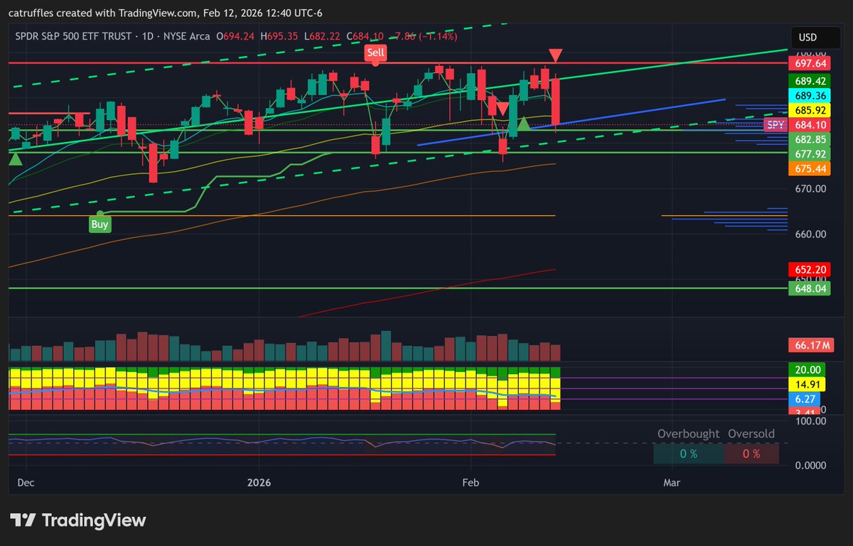 Catruffles (🐈⬛+🍄) tweet media