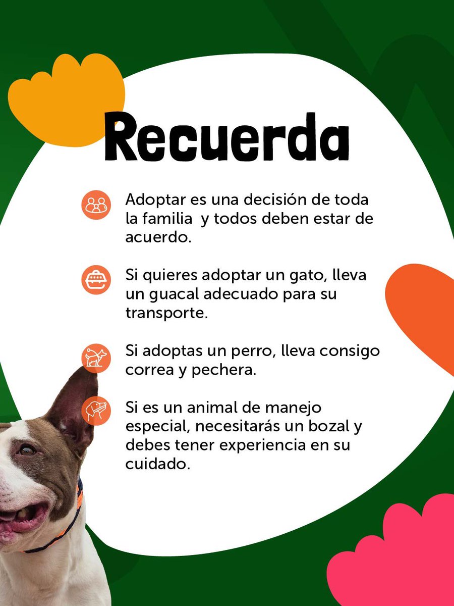 ¡En este San Valentín los #Supercriollos se toman la Unidad de Cuidado Animal con su amor y ternura!🐶😽💕

Ven este sábado y encuentra un amor verdadero que no se compra, se abraza.✨

📆 14 DE FEBRERO
📍 Cra. 106A # 67-02
🕙 10 a.m. a 4 p.m.

Adoptar es amar sin condiciones.🐾