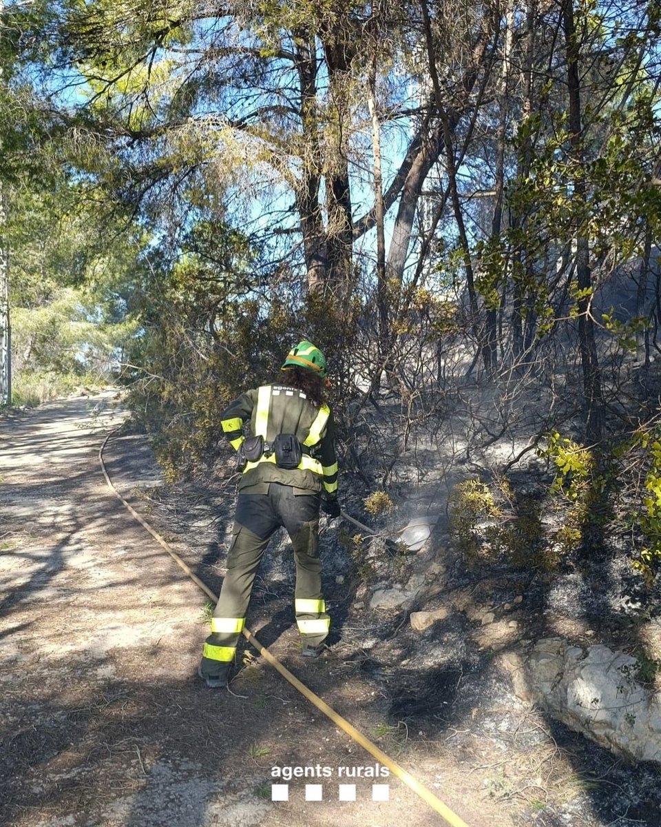 agentsruralscat's tweet image. 🔥 Aquest matí a Sitges (Garraf) hem col·laborat en la primera intervenció d'un conat d'#IF fins a l'arribada de @bomberscat que l'ha extingit.

La causa hauria estat un cable de mitja tensió caigut pel vent. Ha afectat 1.800 m² de vegetació.

⚠️Si veus fum o foc, truca al @112!
