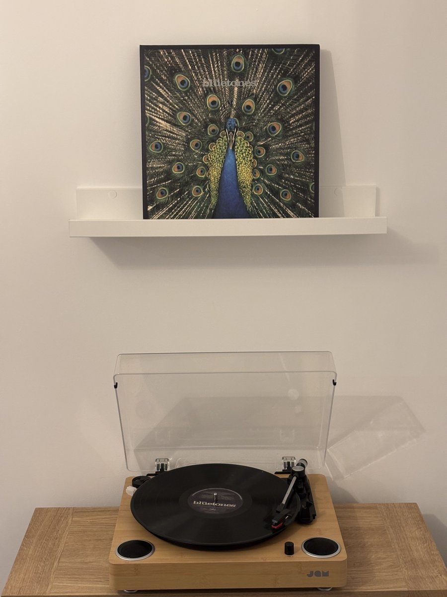 Mike Scott tweet media