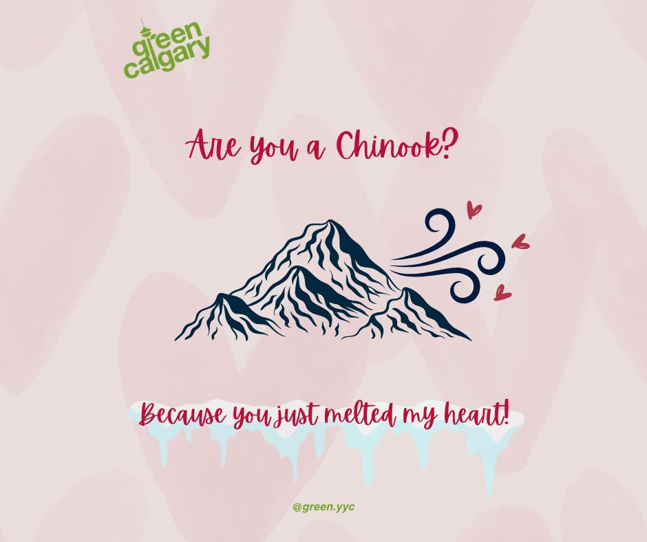 Green Calgary tweet media