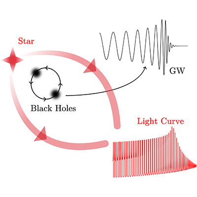 PhysRevLett's tweet photo. The quasiperiodic lensing of starlight by a supermassive black hole binary system can leave imprints on the light curve of the host galaxy, which can help discover and characterize such binaries. #astrophysics https://t.co/6VCB3u1BZ1 #OpenAccess https://t.co/AaYE9aiSha