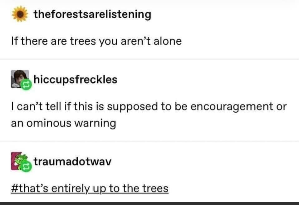 mushroomJenja's tweet photo. It's entirely up to the trees
@keeper_of_books https://t.co/ToDytuErm0