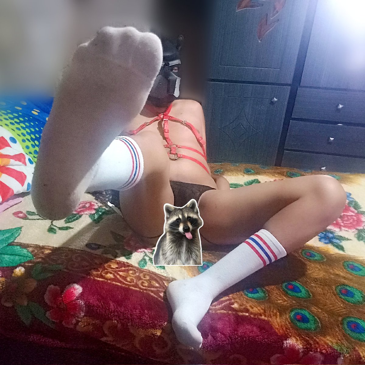 🔞🐾 🄱🄴🅇🅃🄾🅁 🄸🅂 🄲🄰🄶🄴🄳 tweet media