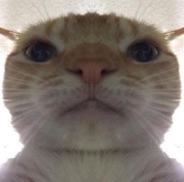 -Cuando me asaltaron en Ciudad de México, dejándome heridas graves
-Mi primera opción fue ir a un hospital privado porque NO TENÍA IMSS
-SÓLO RECIBIRME ASCENDÍA A $20,000 
-Me recomendaron ir al Hospital General
-Me atendieron y suturaron
-No pagué nada y hoy SIGO viva