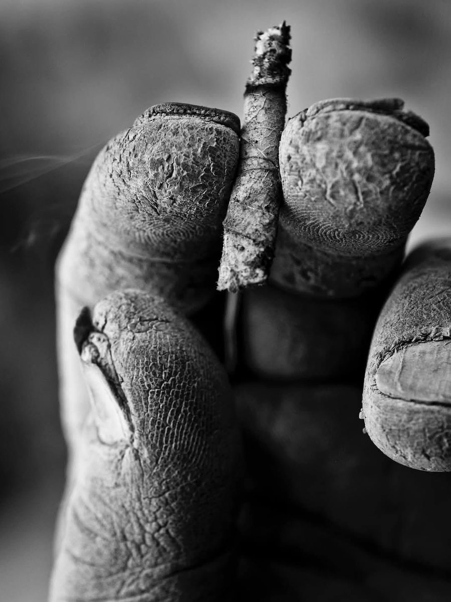 İyi şeylerin hiçbiri bedâva değildi,
Sevgi bile...
Her şeyin bedelini ödüyordun ve eğer yoksulsan, elindeki tek nakit, kahır çekmekti...

Khaled Hosseini