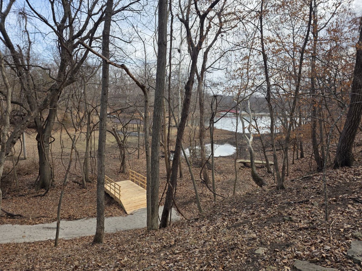 Dancefestopia tweet media