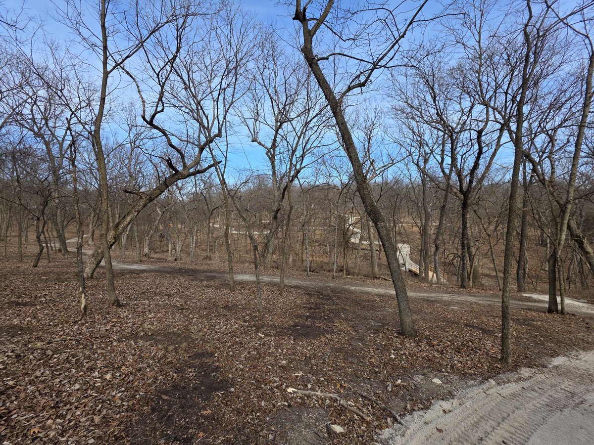 Dancefestopia tweet media