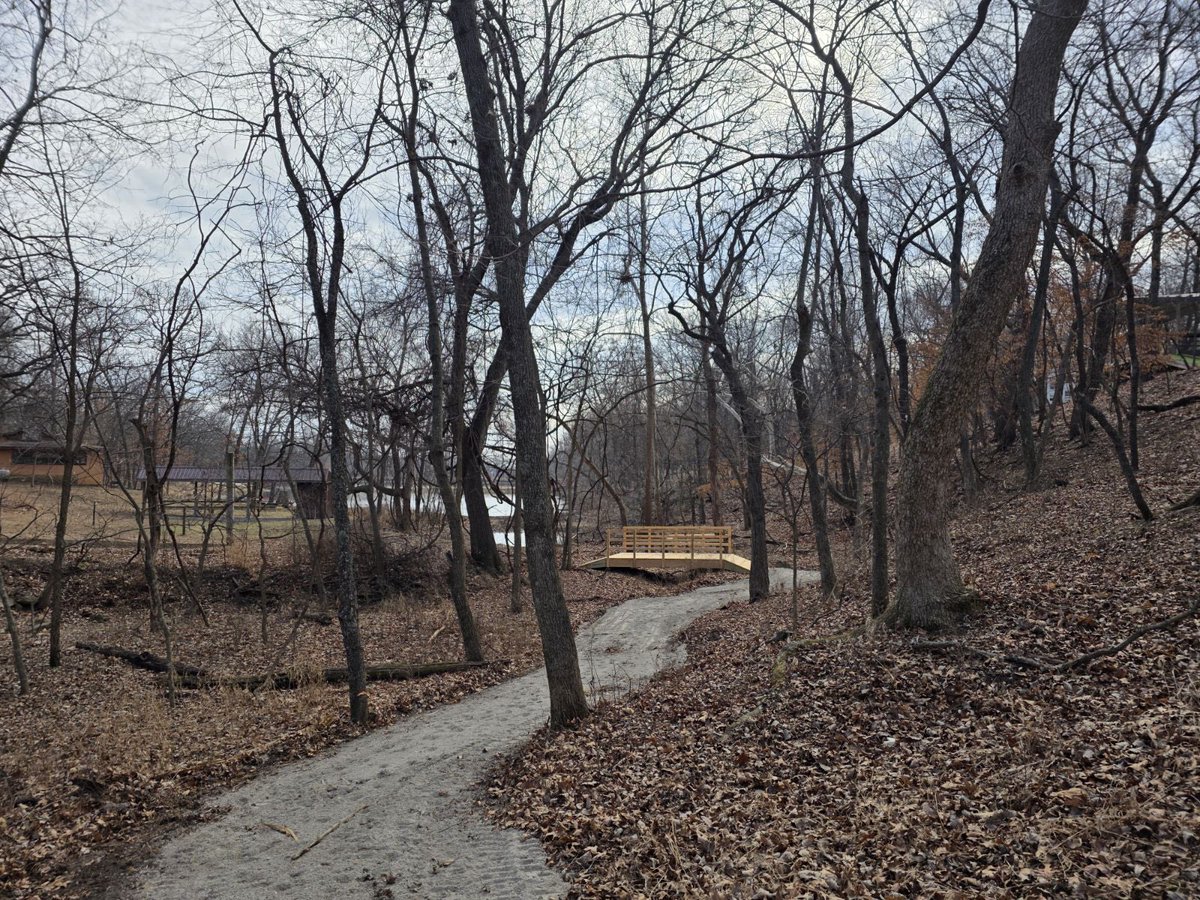 Dancefestopia tweet media